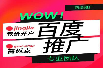 百度推广平台助力企业快速成长的营销策略案例